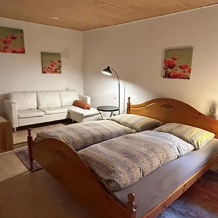 Appartement An Der Kaiserpfalz - Kellerwald *